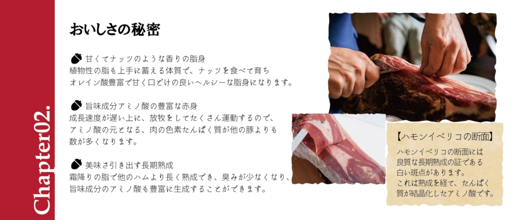サイト中身-02