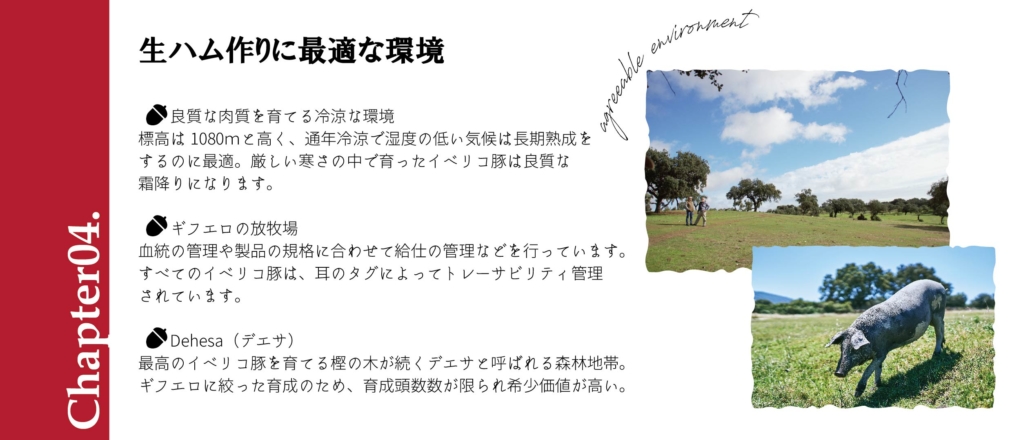 サイト中身-05