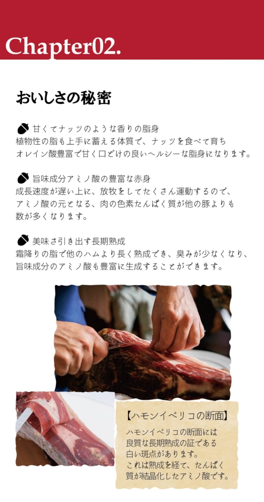 サイト中身-08