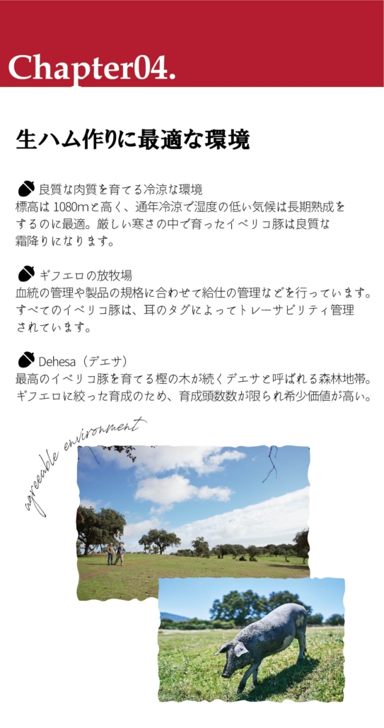 サイト中身-10